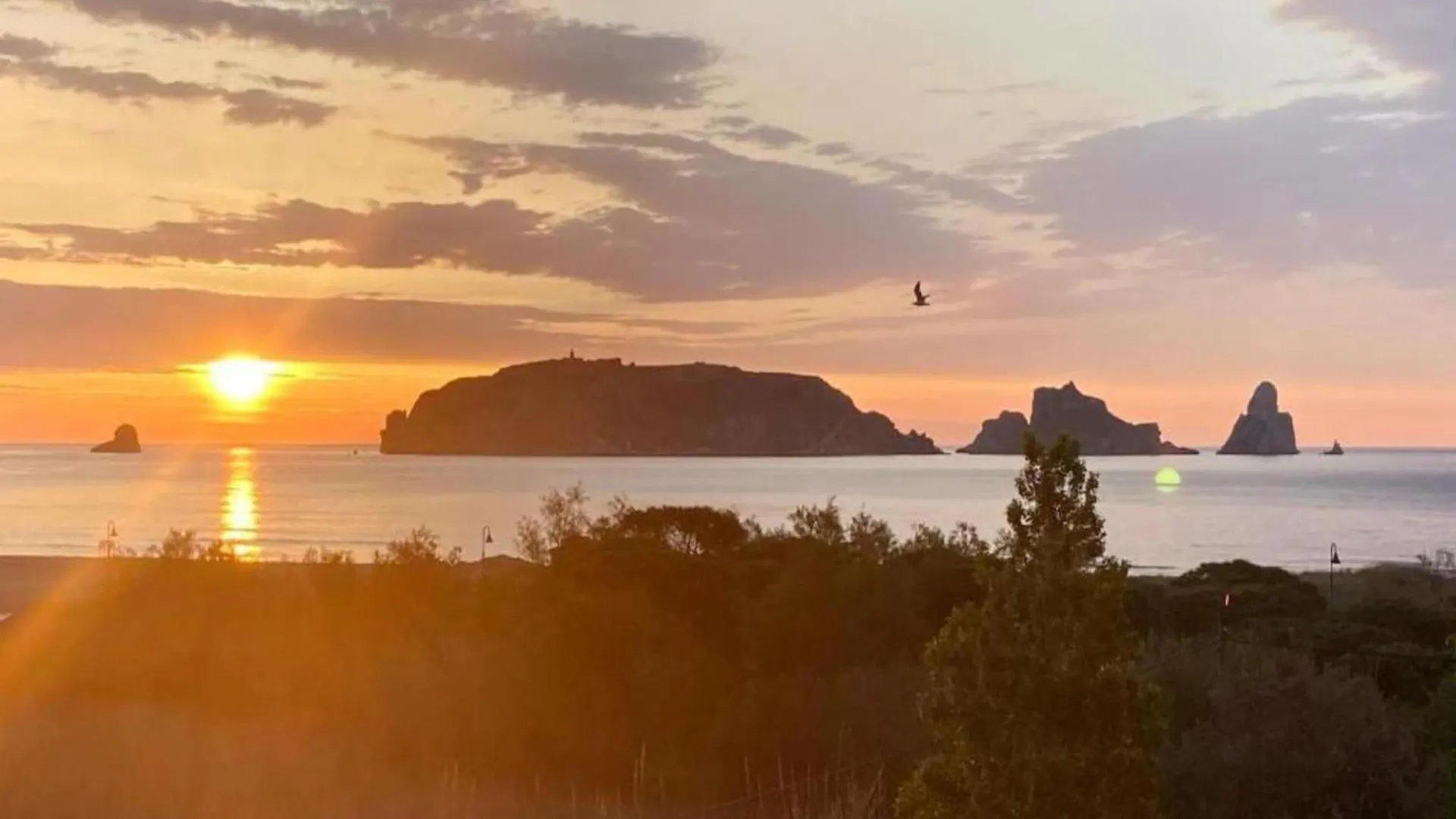 Catalonia 1-7 Apartment أولاستارتيت